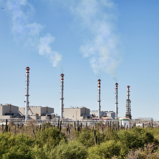 Thermoelectric Power Plants